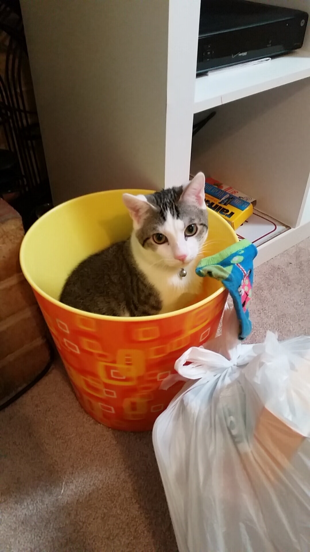 智能化足球监控系统在赛场全面覆盖，提升安全保障能力，智能足球场解决方案